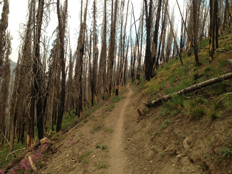 Getting closer to town on Osberg Ridge Trail