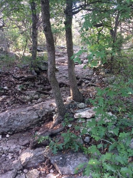 Terrain of the Yucca Trail on the way to Hillview Trail intersection.