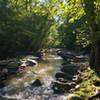 View of Fairforest Creek from north side of Southside Loop trail.