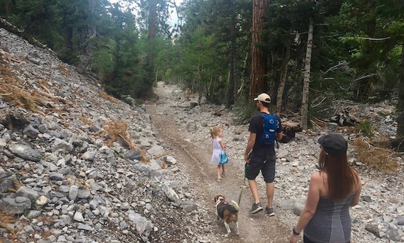 Family on the trail