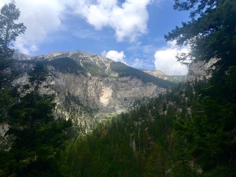 Looking towards Mt Charleston