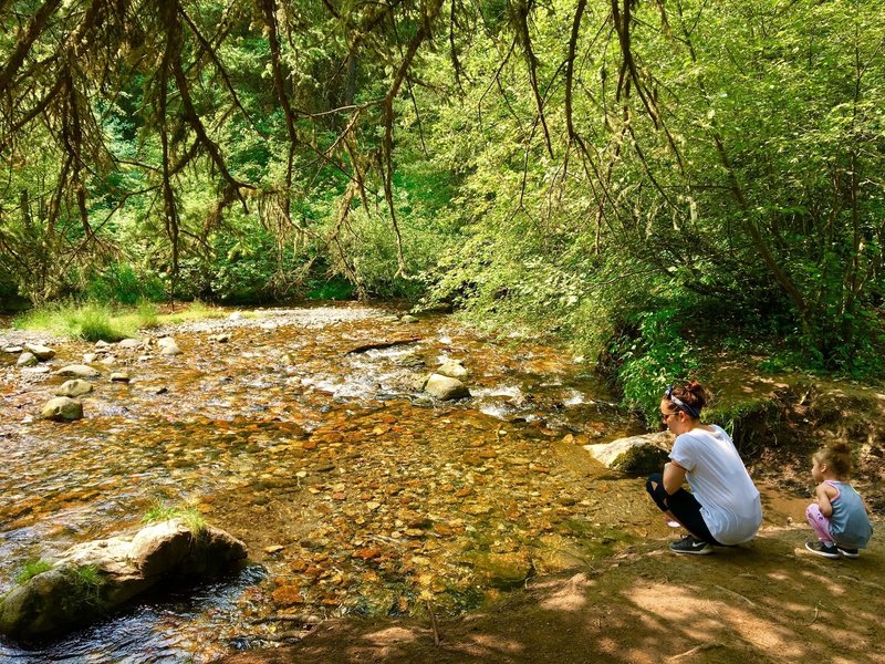 Creek crossing on the Cottonwood.