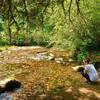 Creek crossing on the Cottonwood.