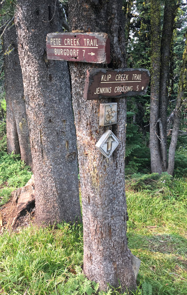 Pete Creek Trail & Klip Creek trail junction