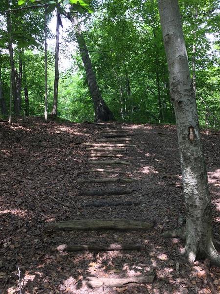 One of two areas on the trail. This is a set of stairs made from natural resources in the woods.