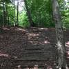 One of two areas on the trail. This is a set of stairs made from natural resources in the woods.