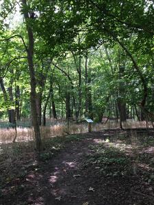 One of the interpretive signs along the trail.