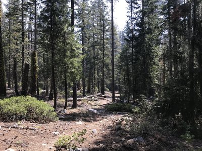 Sugar Lake Trail in Russian Wilderness
