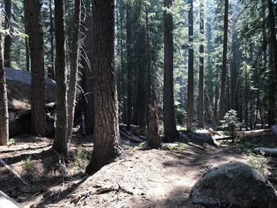 Sugar Lake Trail in Russian Wilderness