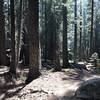 Sugar Lake Trail in Russian Wilderness