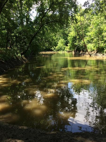 The Rouge River looking out from the trail.