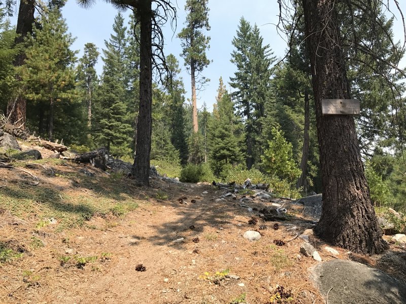 Sugar Lake Trail sign off Road 41N14 in Klamath National Forest.