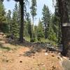 Sugar Lake Trail sign off Road 41N14 in Klamath National Forest.