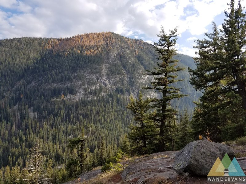 Vista onto some western larch slopes from the Martin Creek Trail #429.