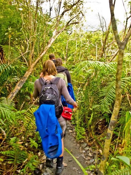 Franz Joseph Glacier hike.