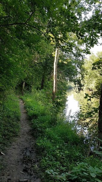 Where the trail meets the river.