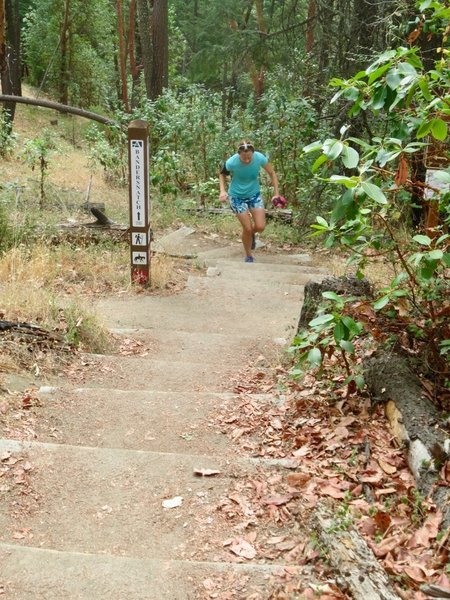 Bandersnatch is a popular running trail.