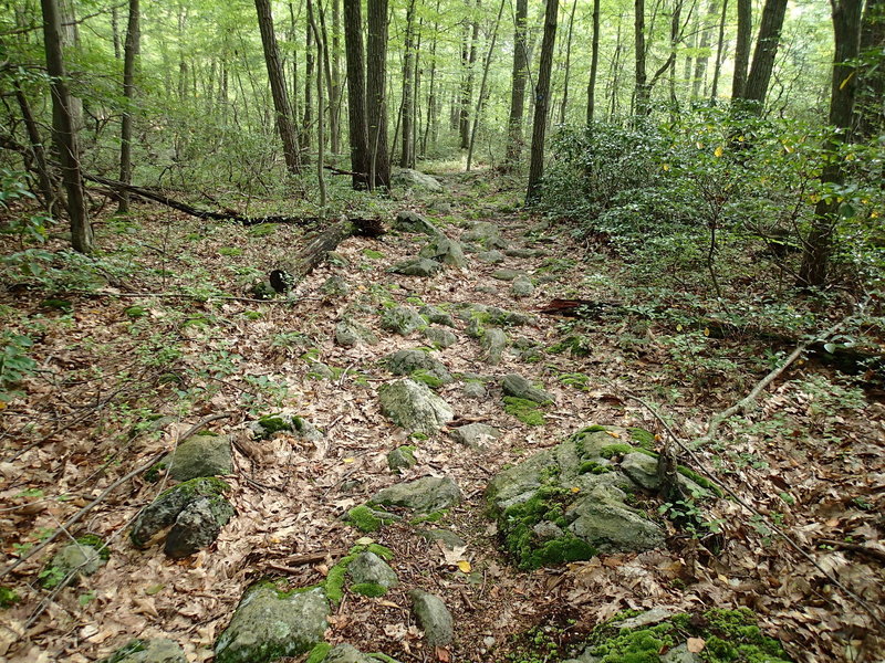 A very rocky section of the Wiccopee Trail.