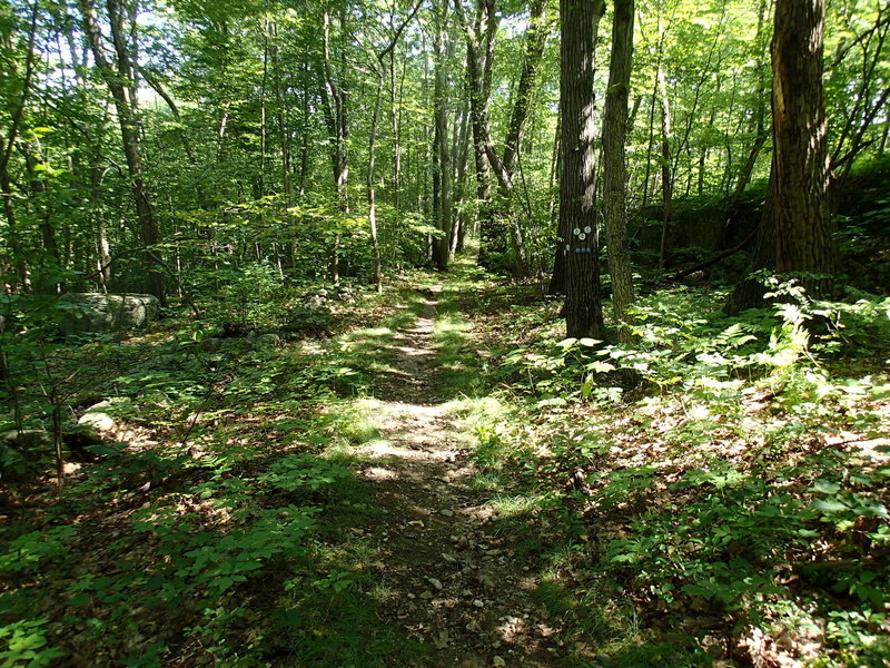 End of Clove Creek Trail.