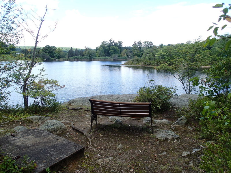 Nice view point of Jordan Pond.