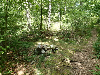 Start of the Cabot Trail from Charcoal Burner Trail.