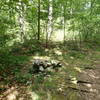 Start of the Cabot Trail from Charcoal Burner Trail.