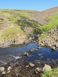 Table Mountain is an ancient lava flow, so water collects and percolates to the surface