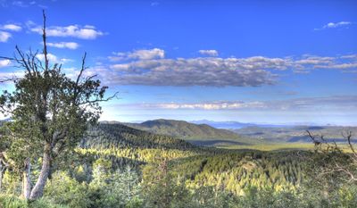 View from Spruce Mountain.