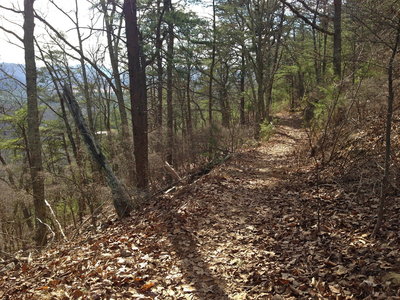 Looking back from the crest after the initial climb.