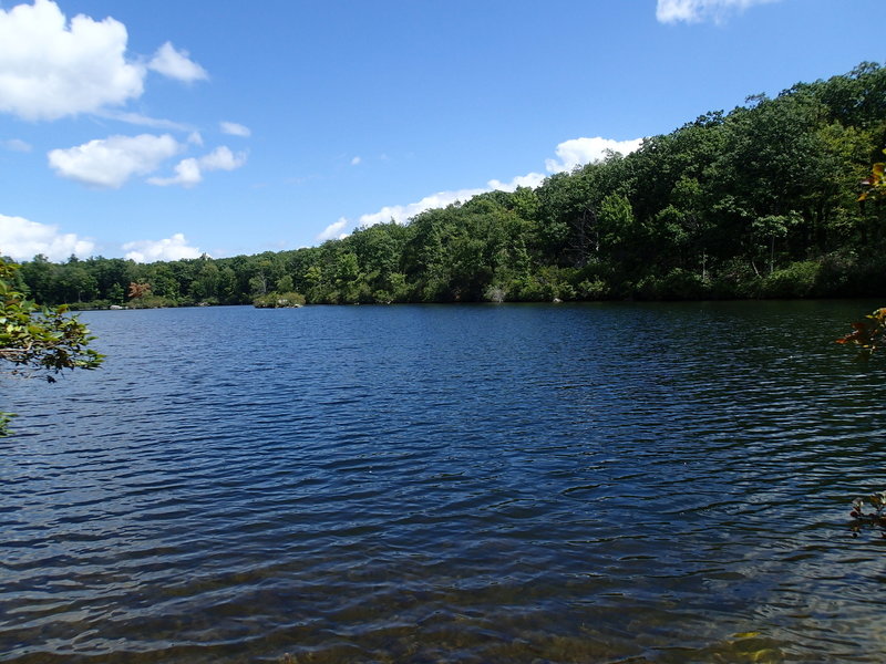 Beaver Pond