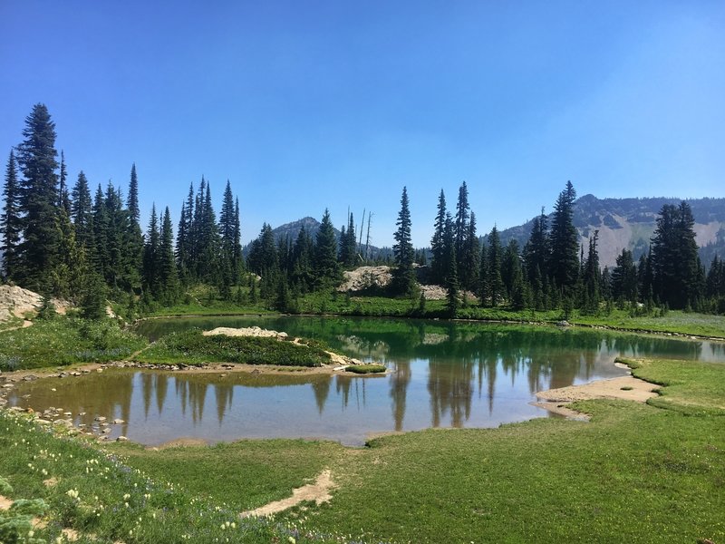 Naches Peak Loop