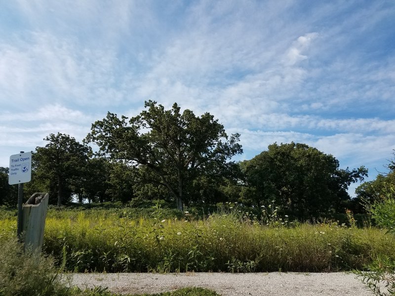 The beginning of the Savanna trail, taken in the beginning of August.