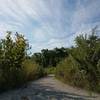 Wonderful summer outing along the Savanna trail.