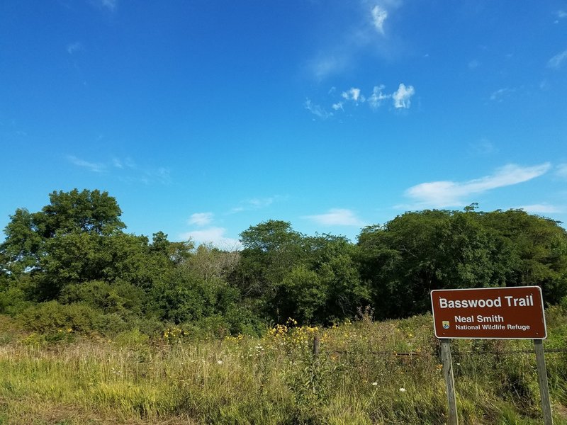 Entrance to the Basswood Trail in early August.