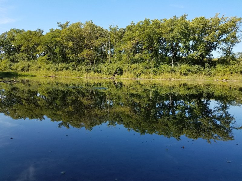 Beautiful pond, that was alive with frogs and tadpoles.