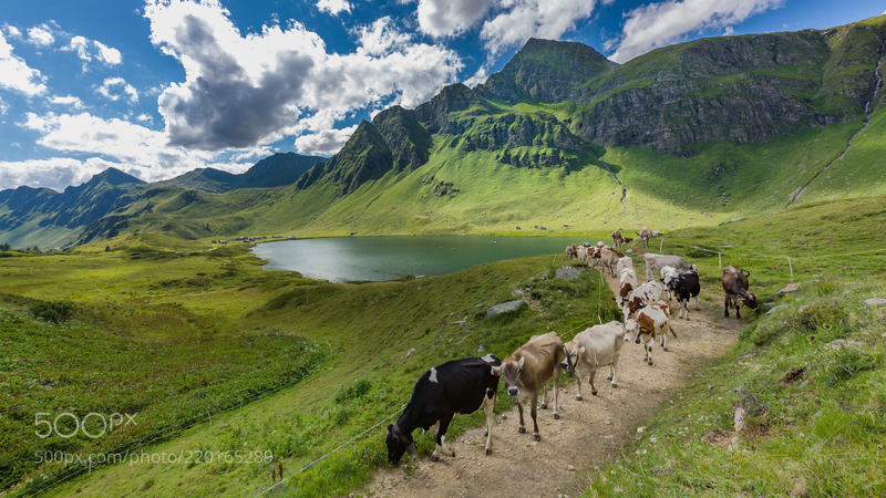 Lago Ritom: A beautiful place in the Swiss alps