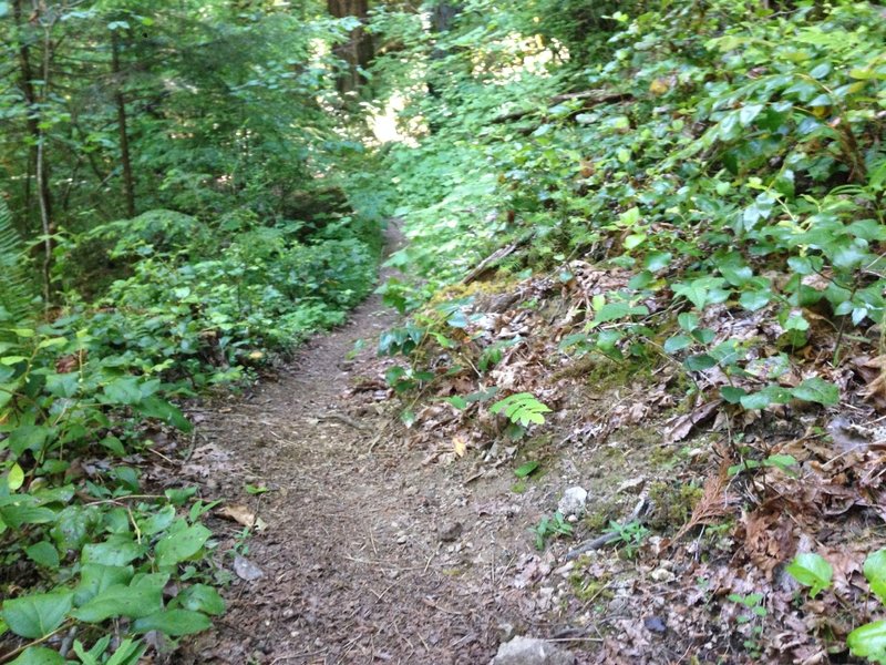 Singletrack.