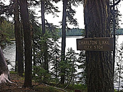 Charlton Lake View