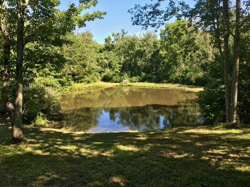 Pond on the Red Trail on the ridge near the Blue Trail