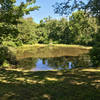 Pond on the Red Trail on the ridge near the Blue Trail