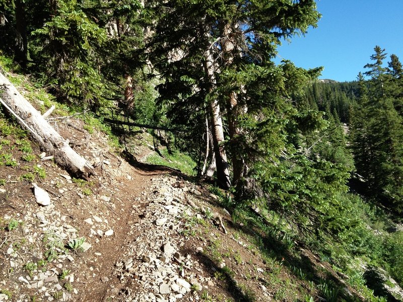 The last half-mile to Lost Lake coming from the south.