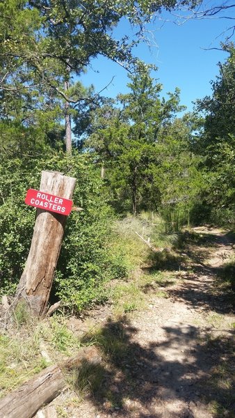 Bluff Creek Ranch - Entrance to Roller Coasters.