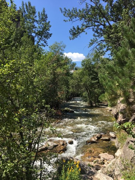 Rushing Piney Creek