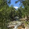 Rushing Piney Creek