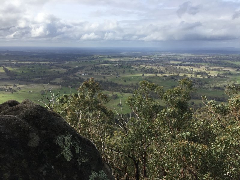 View from Mount Alexander.