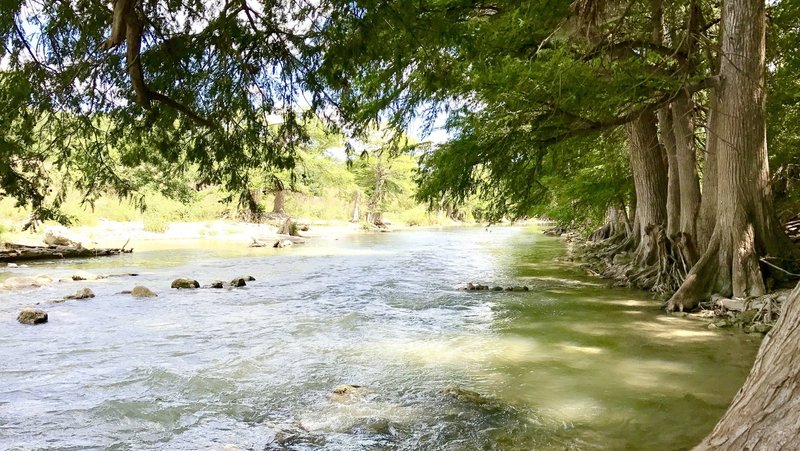 Guadalupe River flowing by cypress trees...just down from the south end of Balk Cypress Trail.