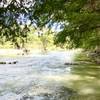 Guadalupe River flowing by cypress trees...just down from the south end of Balk Cypress Trail.