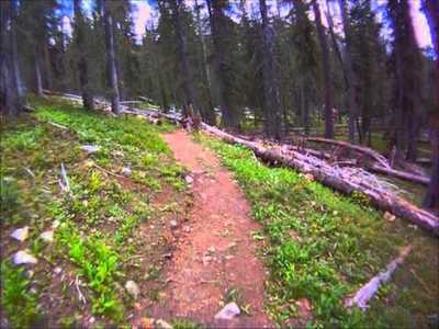 POV of the entire Greysil Trail. Thanks to the local who adopted this trail.