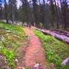 POV of the entire Greysil Trail. Thanks to the local who adopted this trail.