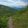 View out to Flathead Valley, near Wolf Creek.